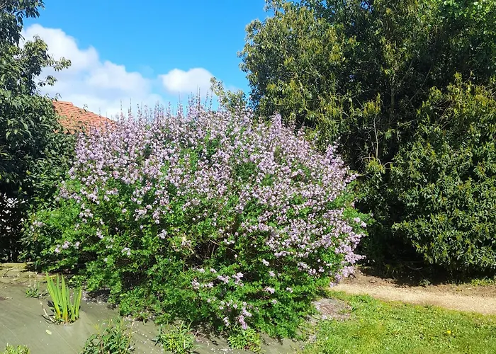 Petit Coin De Paradis